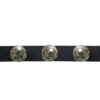 Buffalo Nickel Boot Chain - Image 2